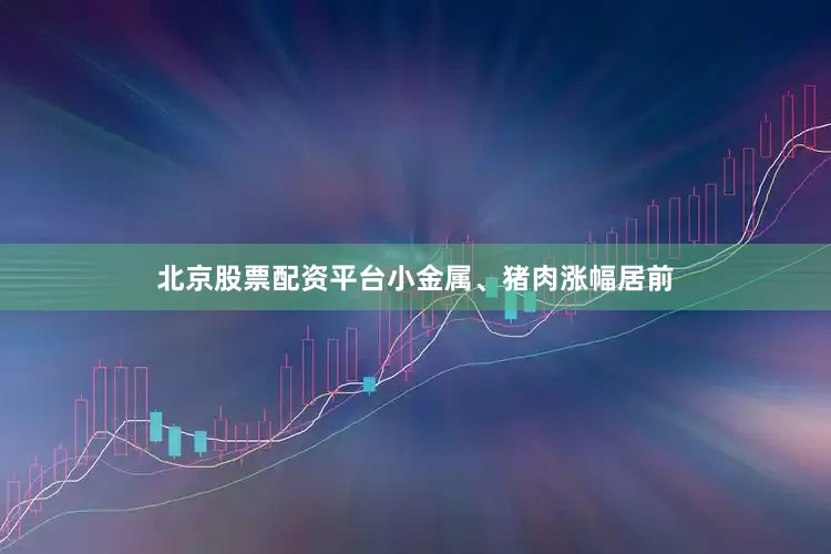 北京股票配资平台小金属、猪肉涨幅居前