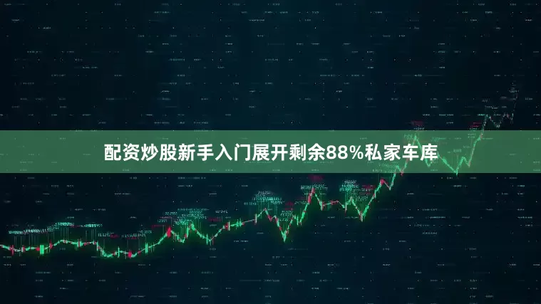 配资炒股新手入门展开剩余88%私家车库