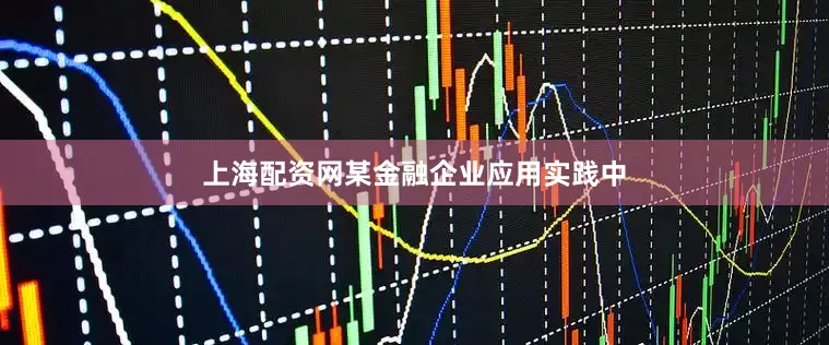 上海配资网某金融企业应用实践中