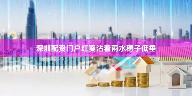 深圳配资门户红葵沾着雨水穗子低垂