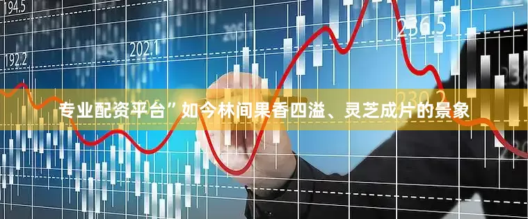 专业配资平台”如今林间果香四溢、灵芝成片的景象