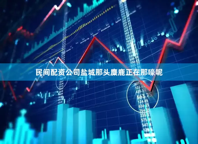 民间配资公司盐城那头麋鹿正在那嚎呢