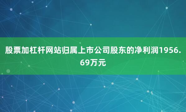 股票加杠杆网站归属上市公司股东的净利润1956.69万元