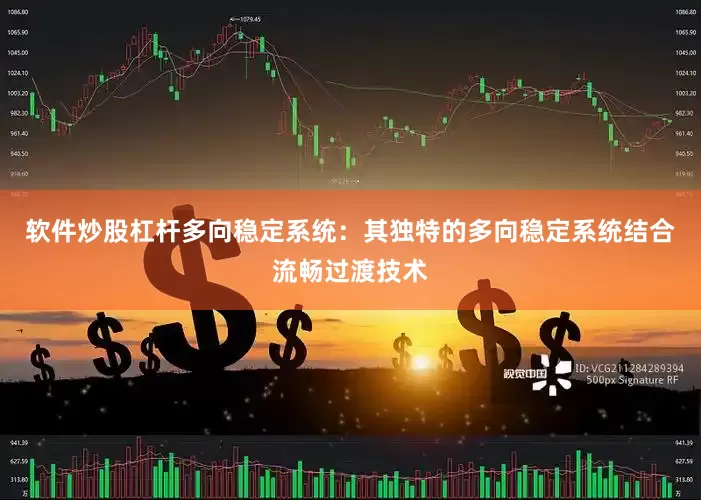 软件炒股杠杆多向稳定系统：其独特的多向稳定系统结合流畅过渡技术