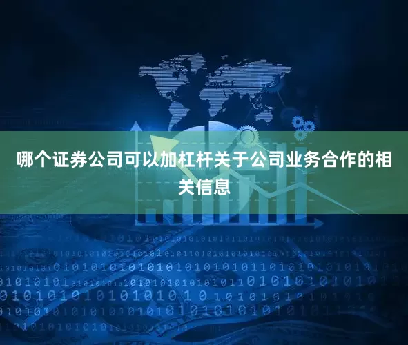 哪个证券公司可以加杠杆关于公司业务合作的相关信息