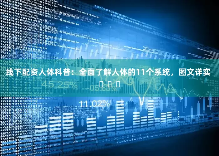 线下配资人体科普：全面了解人体的11个系统，图文详实 ​​​