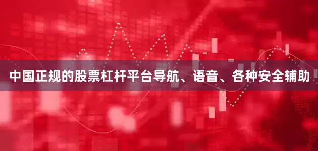中国正规的股票杠杆平台导航、语音、各种安全辅助