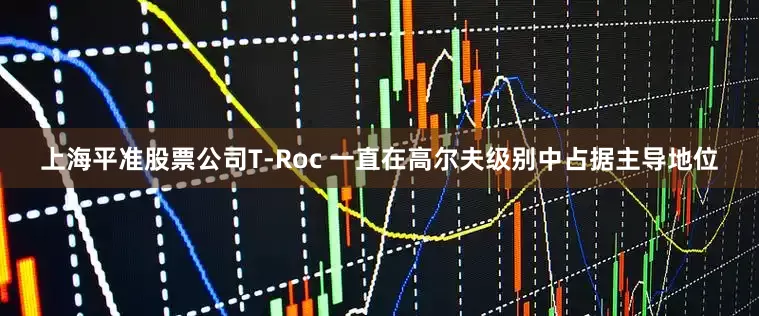 上海平准股票公司T-Roc 一直在高尔夫级别中占据主导地位